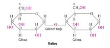 Karbonhidratların Yapısı
