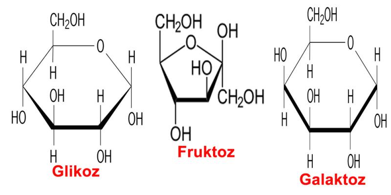 Karbonhidrat Forml